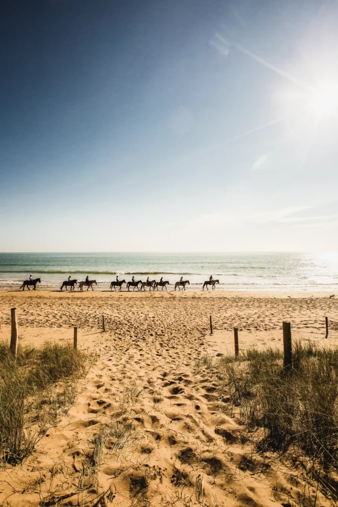 cheval plage vendée tourisme