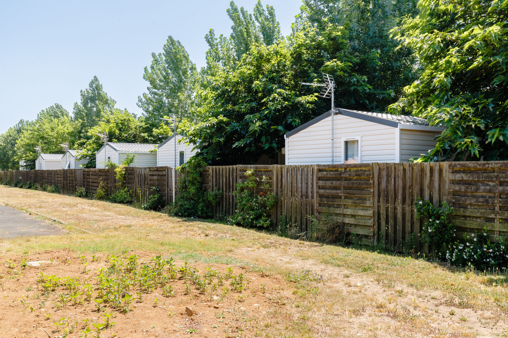 LA BAIE 01082024 87